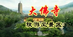 美女骚狗`扣小穴中国浙江-新昌大佛寺旅游风景区